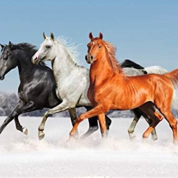 Photography background - Picture 3 of 4